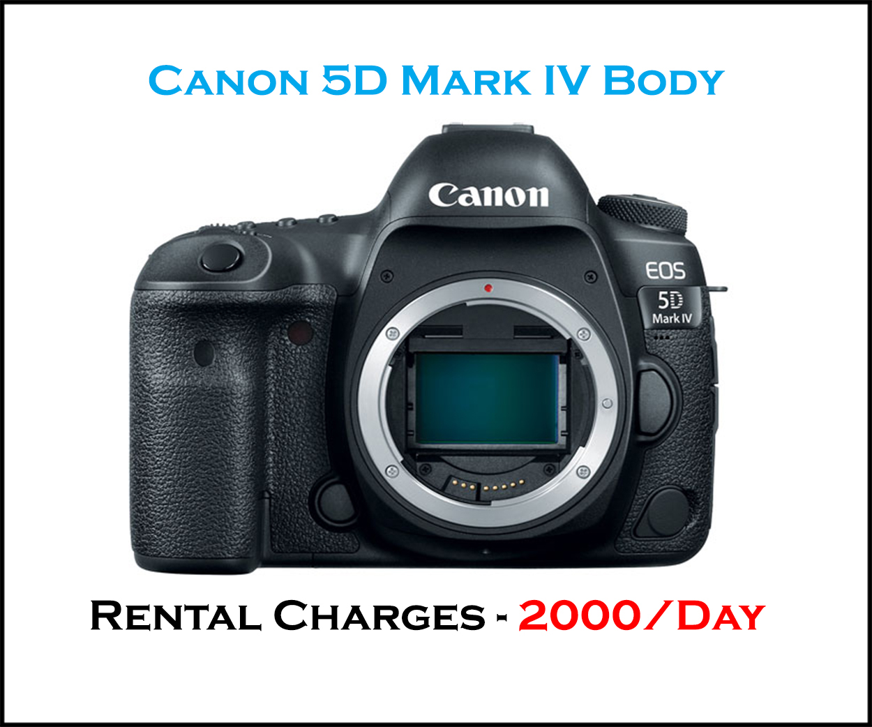 dslr cameras for rent